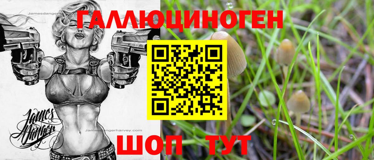 сколько стоит  Псилоцибиновые грибы Psilocybe  Вход с VPN  Северодвинск 